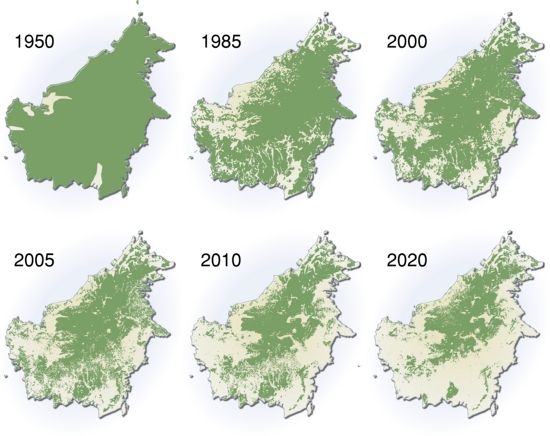 Extent of deforestation in Borneo from 1950 to 2005. Author: Hugo Ahlenius, UNEP/GRID-Arendal.
