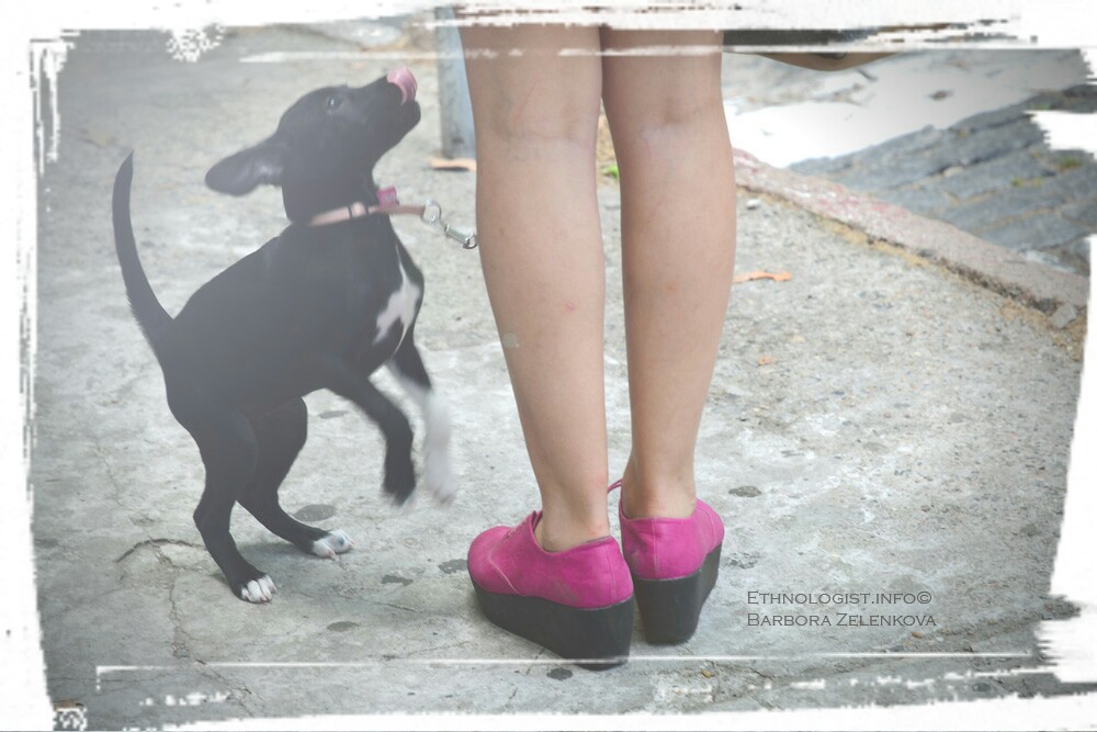 Slečna ve velmi populárních botách briketách s malým psíkem. Foto: Barbora Zelenková, Prosinec, 2016, Colonia del Sacramento.