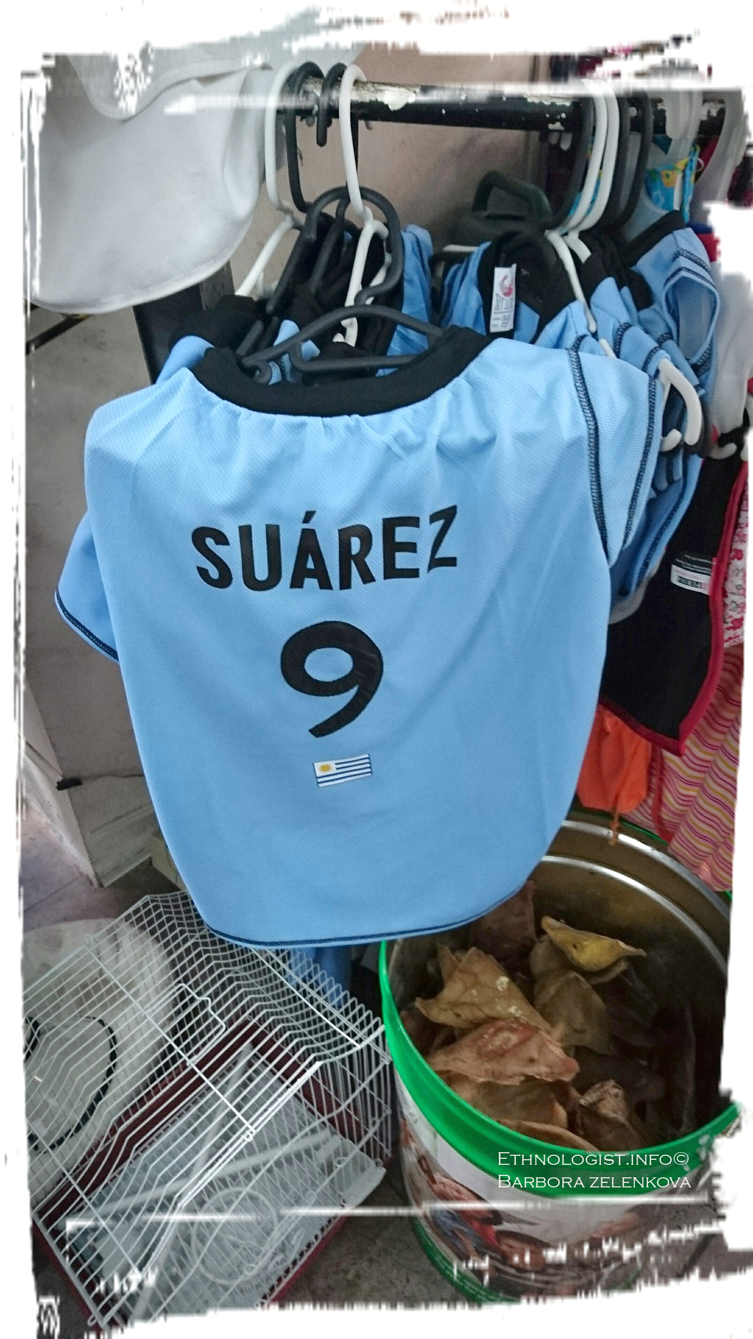 Fotbalový psí dres se jménem Suáreze. Foto: Barbora Zelenková, Montevideo, 2016.