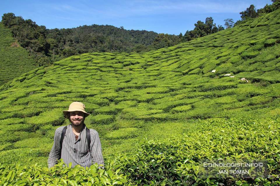 Jan Toman během cesty po Malajsii navštívil proslulé čajové plantáže. Foto: Archiv Jana Tomana