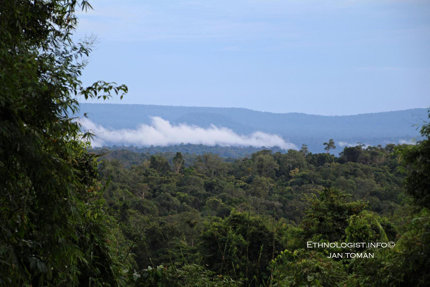 Kardamomové hory a deštný prales. Foto: Jan Toman, Kambodža